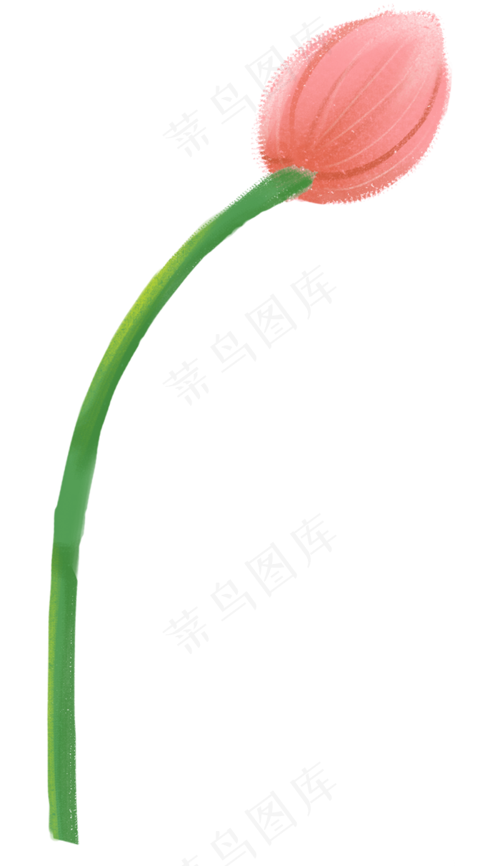 荷花花苞图案(1154X2000(DPI:300))psd模版下载
