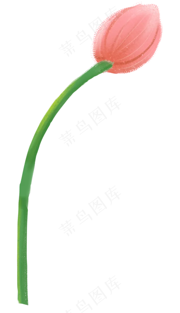 荷花花苞图案(1154X2000(DPI:300))psd模版下载
