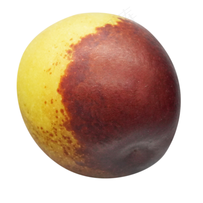 红色果子红枣,免抠元素