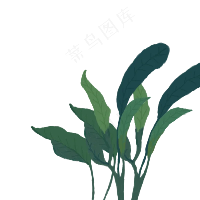 叶子绿叶树叶手绘图案,免抠元素(2000X2000(DPI:300))psd模版下载