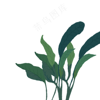叶子绿叶树叶手绘图案,免抠元素