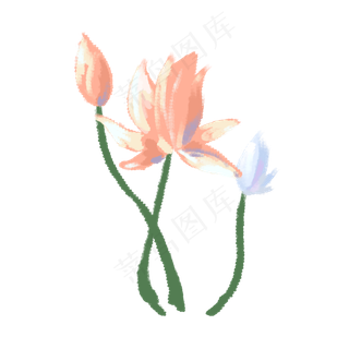 根茎水墨淡雅荷花