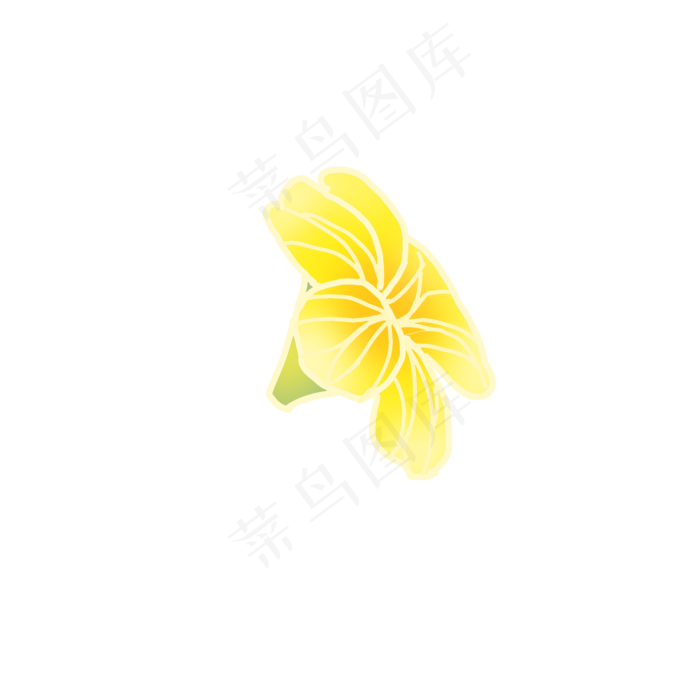 花瓣黄色花瓣手绘插画