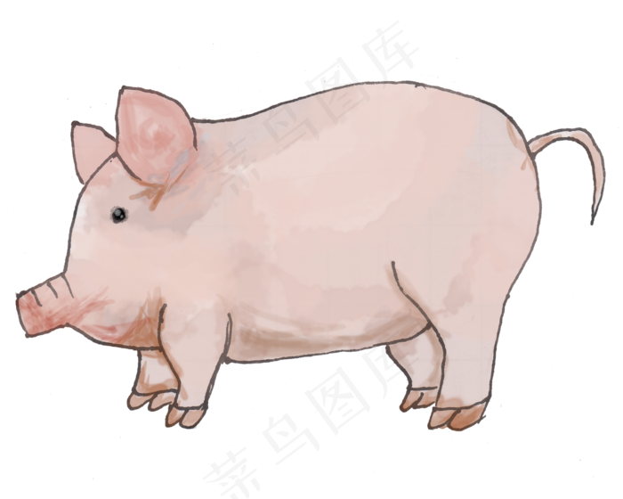 手绘水彩动物胖猪png,免抠元素(2500X2000(DPI:300))psd模版下载