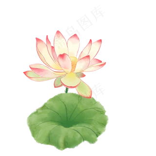 中国风荷花水彩画 中国风荷花水彩画