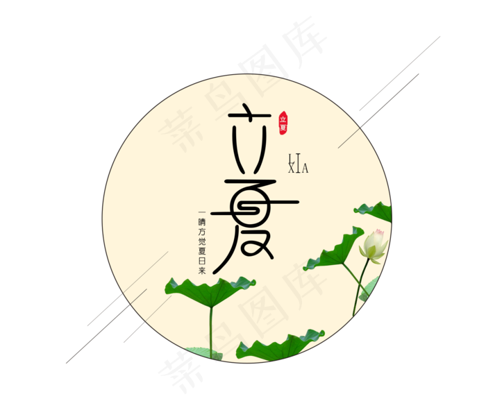 立夏  米白色   绿色  荷花