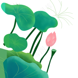 卡通荷花