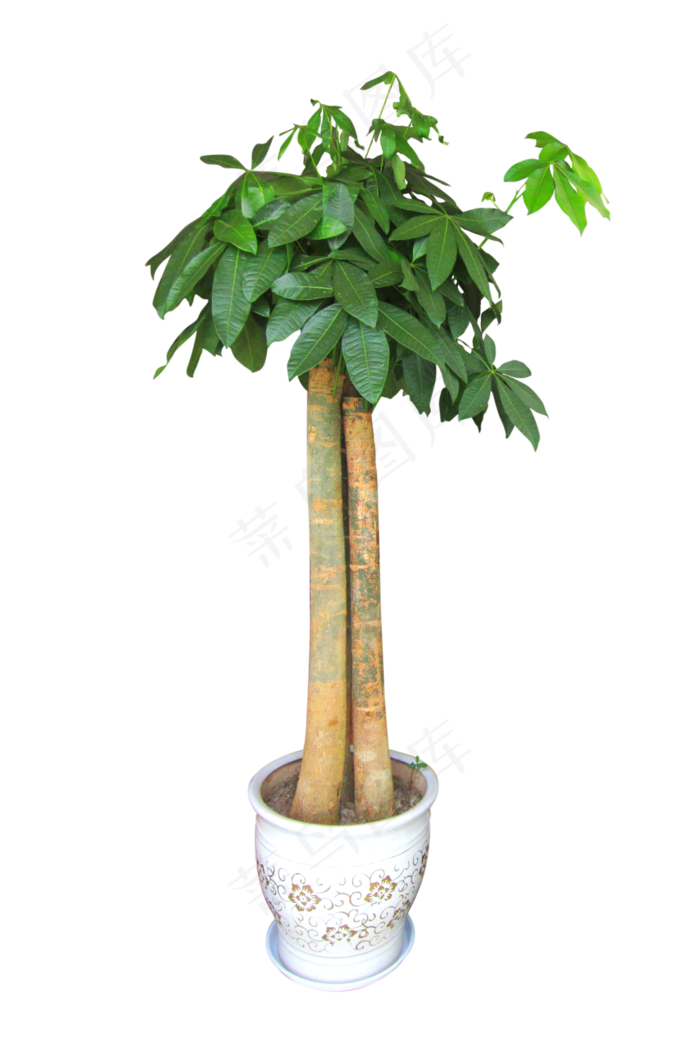 家居植物摆件