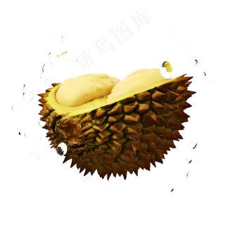 立体榴莲png图