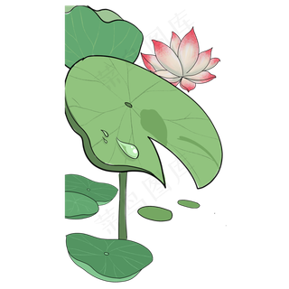 唯美荷花免抠图