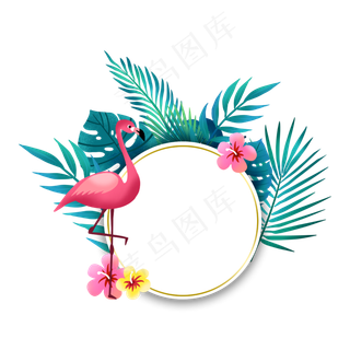 夏季火烈鸟和植物边框,免抠元素