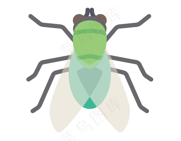 夏季动物苍蝇插图,免抠元素