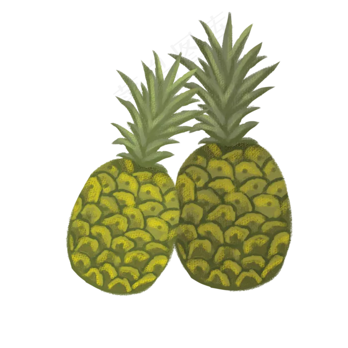 手绘水果png素材(2000X2000(DPI:72))psd模版下载