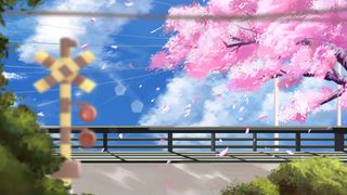 治愈唯美森林樱花立秋夏景春天阳光天空大树