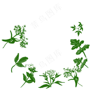 绿色矢量通用花草边框装饰