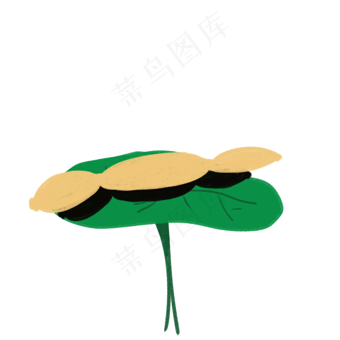 蔬菜莲花荷叶莲藕