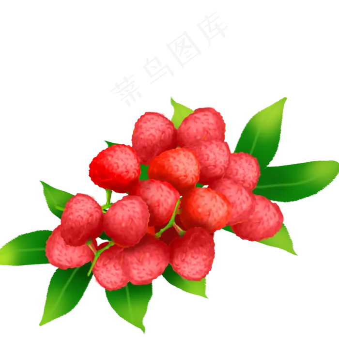 果水果果子荔枝果团锦簇(2000X2000(DPI:300))psd模版下载