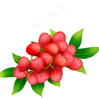 果水果果子荔枝果团锦簇