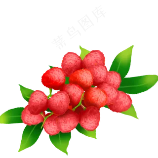 果水果果子荔枝果团锦簇