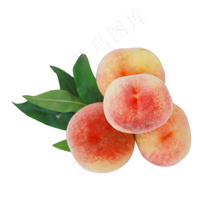 新鲜的桃子