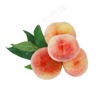 新鲜的桃子