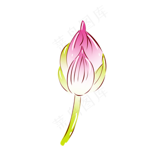 手绘花小清新植物粉色荷花花苞
