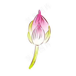 手绘花小清新植物粉色荷花花苞