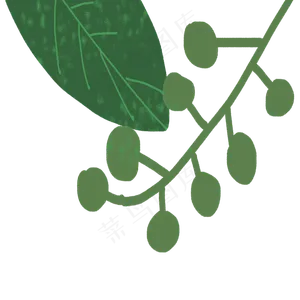 春天植物叶子下载