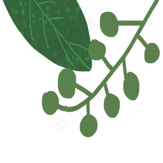 春天植物叶子下载