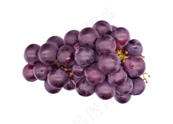夏季水果葡萄