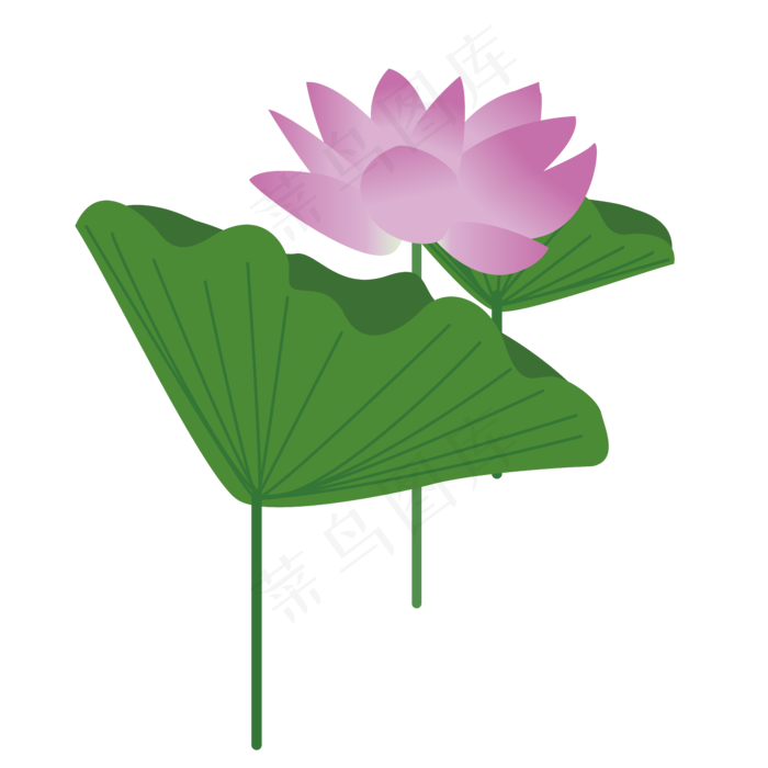 荷花季绿色植物荷花荷叶手绘清新(1024X1369(DPI:300))ai矢量模版下载