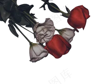 暗黑系红玫瑰和白玫瑰