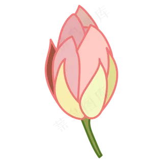 一只未开的卡通荷花免抠图