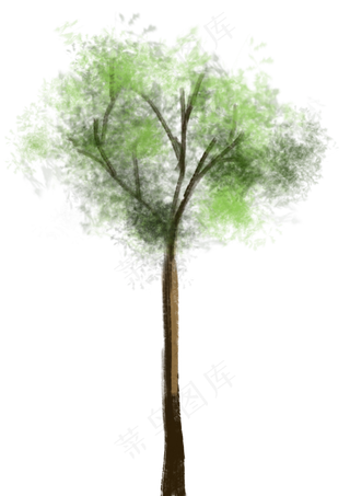 棕榈树棕榈叶子