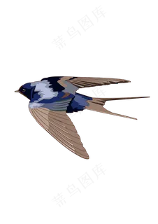 春分燕子免扣元素,免抠元素