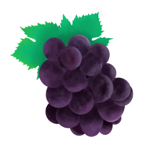 处暑手绘水果系列之水彩风格葡萄