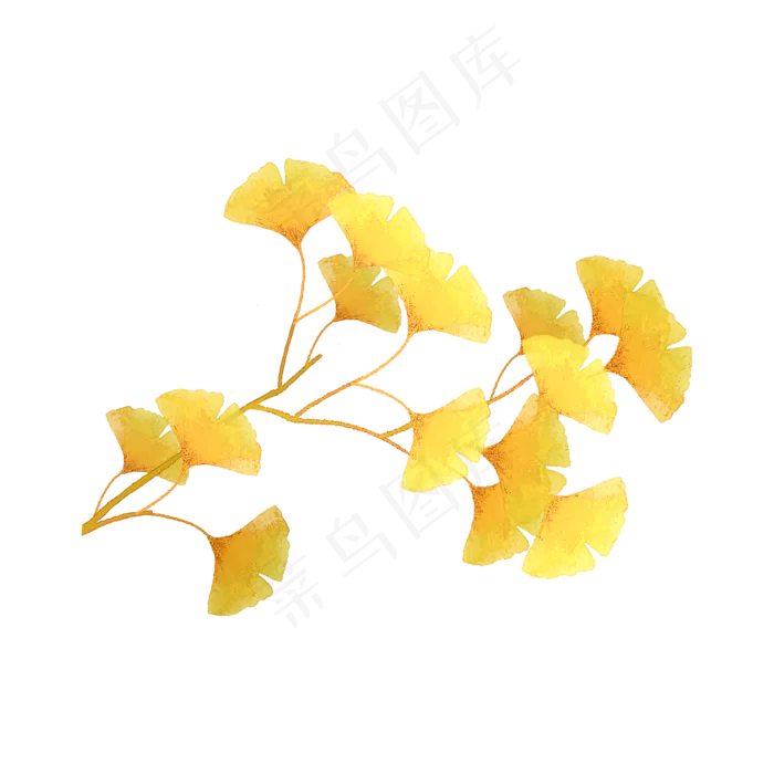 银杏树枝秋天枝叶(2000X2000(DPI:300))psd模版下载