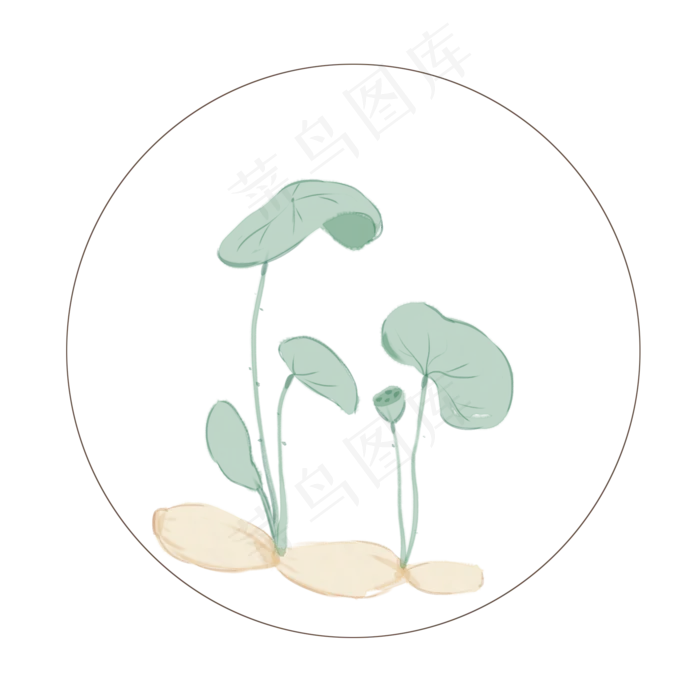 植物二十四节气小暑(2000X2000(DPI:300))psd模版下载