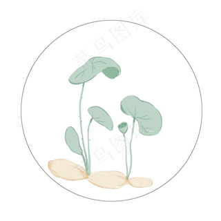 植物二十四节气小暑