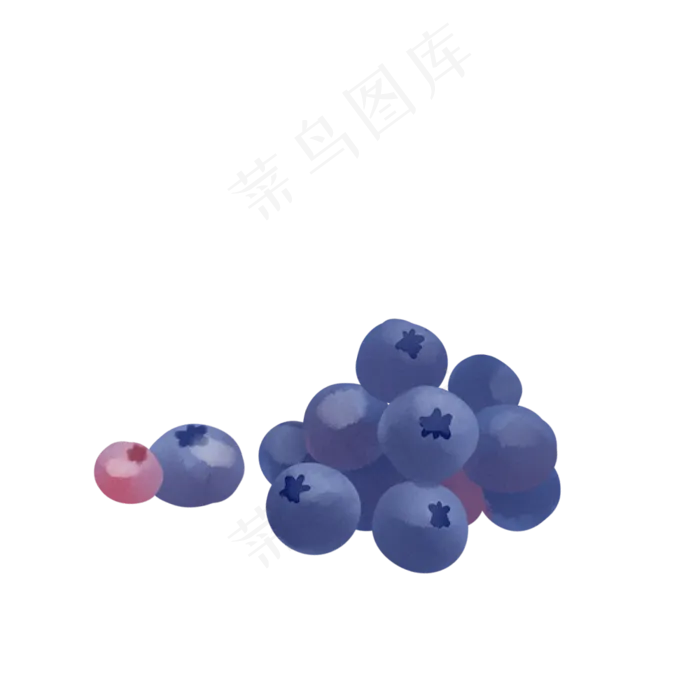 水彩风手绘蓝莓矢量(1000X1000(DPI:300))psd模版下载