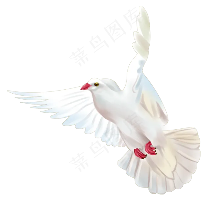 飞行的和平鸽(2000X2000(DPI:350))psd模版下载