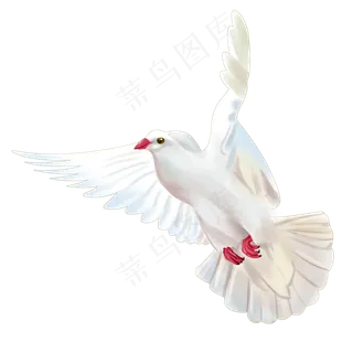 飞行的和平鸽
