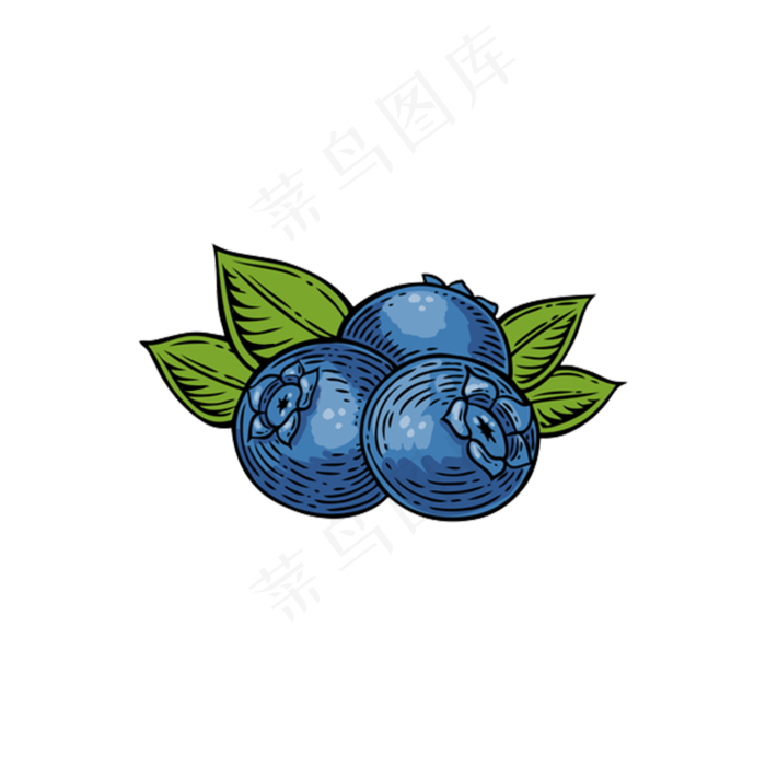 蓝色复古手绘蓝莓(2000X2000(DPI:300))psd模版下载