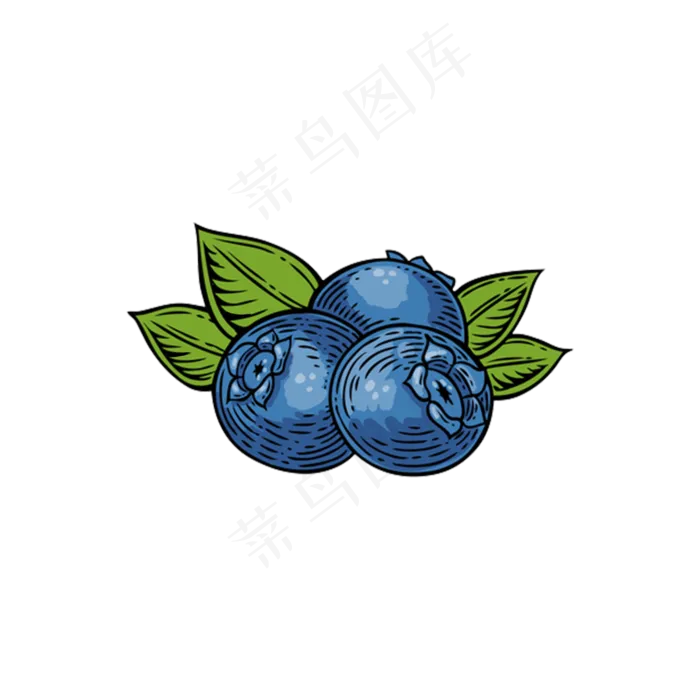 蓝色复古手绘蓝莓(2000X2000(DPI:300))psd模版下载