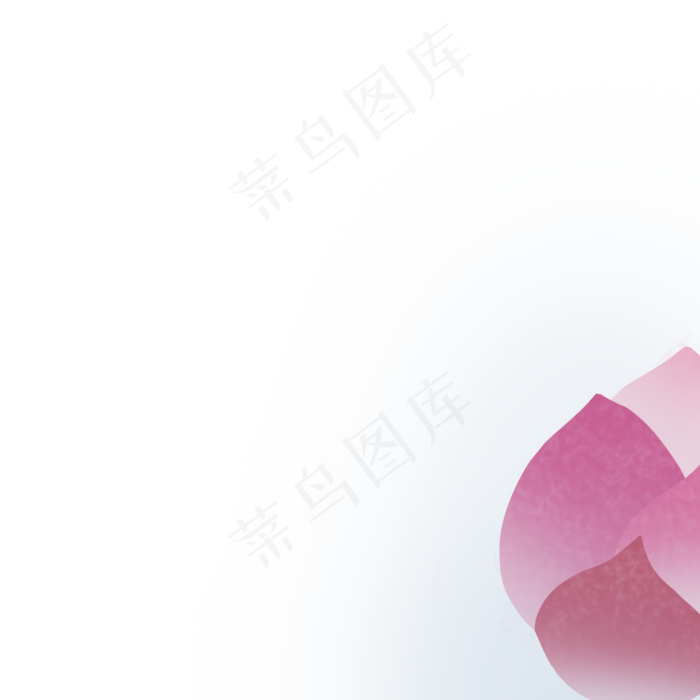 玫红色系荷花免费下载(2000X3020(DPI:300))psd模版下载