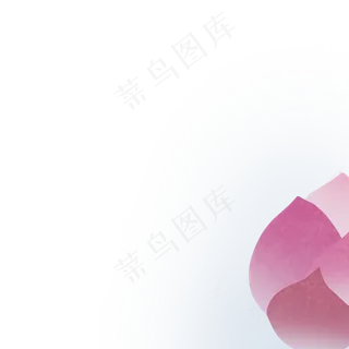 玫红色系荷花免费下载