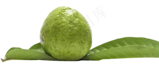 番石榴芭乐水果