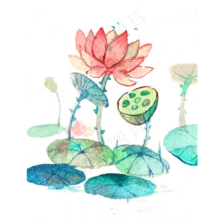 荷花水彩透明PNG莲花唯美