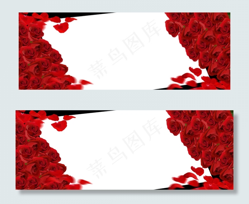 红色玫瑰信纸海报