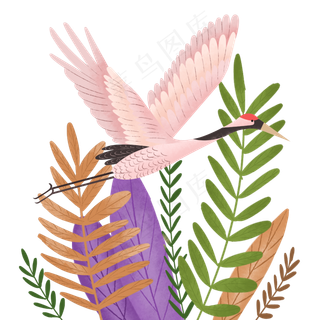 粉色少女中国仙鹤丹顶鹤起飞